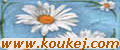 www.koukej.com